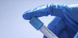 В стране подтверждено 704 случая регистрации коронавируса