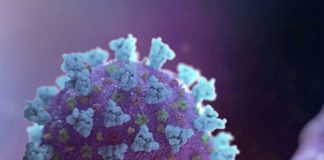 В стране подтверждены 808 случаев регистрации коронавируса