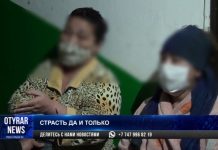 Посуточные квартиры стали настоящим бедствием в спальных районах Шымкента Посуточные квартиры