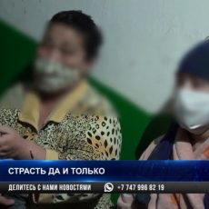 Посуточные квартиры стали настоящим бедствием в спальных районах Шымкента Посуточные квартиры