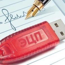 Когда в Шымкенте начнут работать ЦОНы