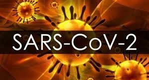 Опасная инфекция выявлена у жителя города Кентау