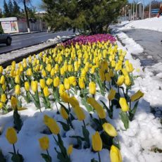 Прогноз погоды на 9 апреля