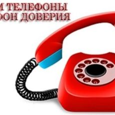 В Департаменте полиции Шымкента работает телефон доверия телефон доверия