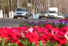 Про душу шымкентцев. Турист из России не хочет уезжать из Шымкента