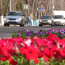 В Шымкенте ожидается до 18 градусов тепла