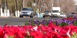 Почему шымкентцы не боятся коронавируса