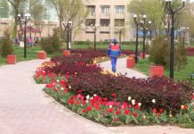 Синоптики рассказали о погоде в мае