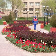 Шымкент вернулся в «желтую» зону