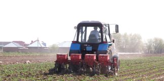 Правительство рассмотрело вопросы продовольственной безопасности