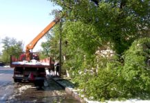 Снегопад в Шымкенте: Борьба с последствиями стихии
