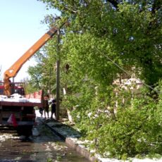 Снегопад в Шымкенте: Борьба с последствиями стихии