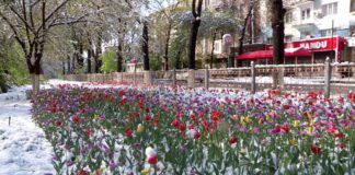 В Шымкенте за 10 часов выпал снег высотой в 22 см