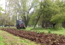 В Шымкенте начали подготовку к пожароопасному сезону