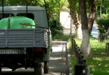 Шымкент борется с насекомыми: новая волна дезинсекции