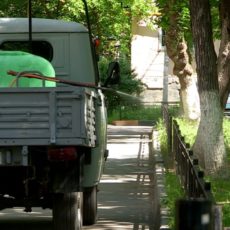 Шымкент борется с насекомыми: новая волна дезинсекции