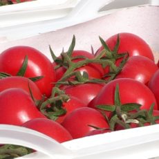 Напрямую у дехкан шымкентцы могут купить фермерскую продукцию