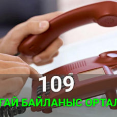 В CALL- центр при акимате Туркестанской области поступило более 37 тысяч звонков телефон