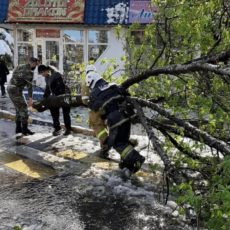 24 аварийно-восстановительные бригады восстанавливают электроснабжение в Шымкенте ЧС