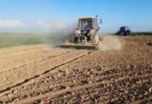 В Туркестанском регионе началась весенняя посевная кампания поле посевная