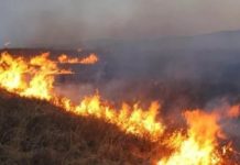 Систему раннего обнаружения пожаров расширяют по всей территории Казахстана пожар