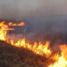 Систему раннего обнаружения пожаров расширяют по всей территории Казахстана пожар
