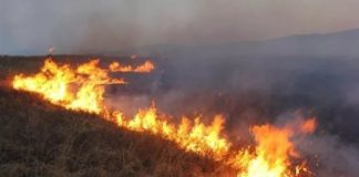 Систему раннего обнаружения пожаров расширяют по всей территории Казахстана пожар