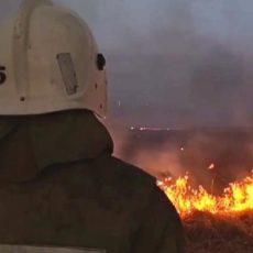 В Туркестане за три месяца произошли 15 лесостепных пожаров пожар
