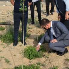 Заброшенные пустыри в Туркестане превратят в парки
