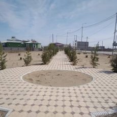 Келесский район подарит Туркестану новую аллею аллея