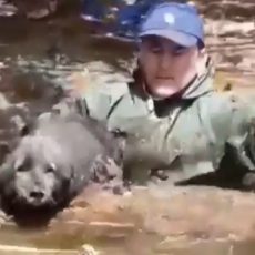 Водолаз из Тараза вытащил из воды собаку в селе Жана турмыс спасатель