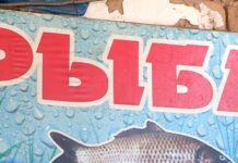 Палата предпринимателей встретилась с шымкентскими продавцами рыбы рыба