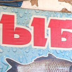 Палата предпринимателей встретилась с шымкентскими продавцами рыбы рыба