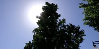 О сильной жаре без дождей предупредили жителей Шымкента жара лето