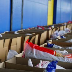 Фонд «Халык» направил более 50 тонн продуктов жителям Мактааральского района