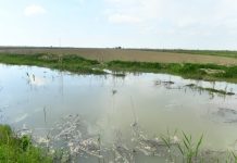 Мактаарал: По предварительным оценкам, ущерб составит 404 млн тенге потоп