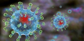 Заболеваемость КВИ возросла за сутки