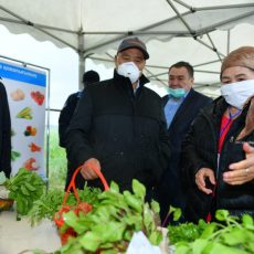 Аким Туркестанской области Умирзак Шукеев посетил с рабочей поездкой Толебийский район