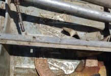 В Мактааральском районе запретили ловить рыбу рыба