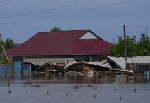 Земли, пострадавшие от наводнения в Мактаарале, останутся в собственности жителей затоп в Мактаральском районе