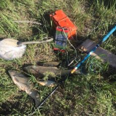 В Туркестанской области задержали очередных браконьеров, промышлявших незаконной рыбалкой браконьеры