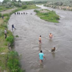 В реке Арысь утонула трехлетняя малышка поиск река