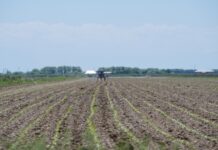 Чрезвычайная ситуация в Мактаарале не препятствует весенним сельхозработам поле