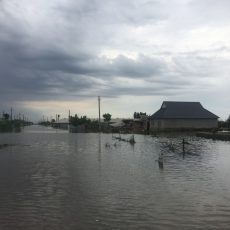 Поселок Оргебас в Мактаарале все еще стоит в воде