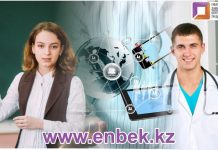 Персональное распределение для учителей и врачей появилось на электронной бирже труда Электронная биржа труда для врачей и учителей