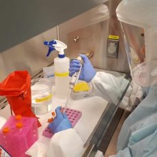 За прошедшие сутки в Казахстане выявлено 1985 заболевших