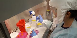 За прошедшие сутки в Казахстане выявлено 1985 заболевших