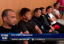 В Шымкенте дальнобойщики начали получать фитосанитарные сертификаты