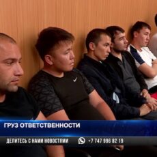 В Шымкенте дальнобойщики начали получать фитосанитарные сертификаты
