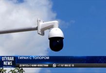 Муж изрубил топором жену в Туркестанской области